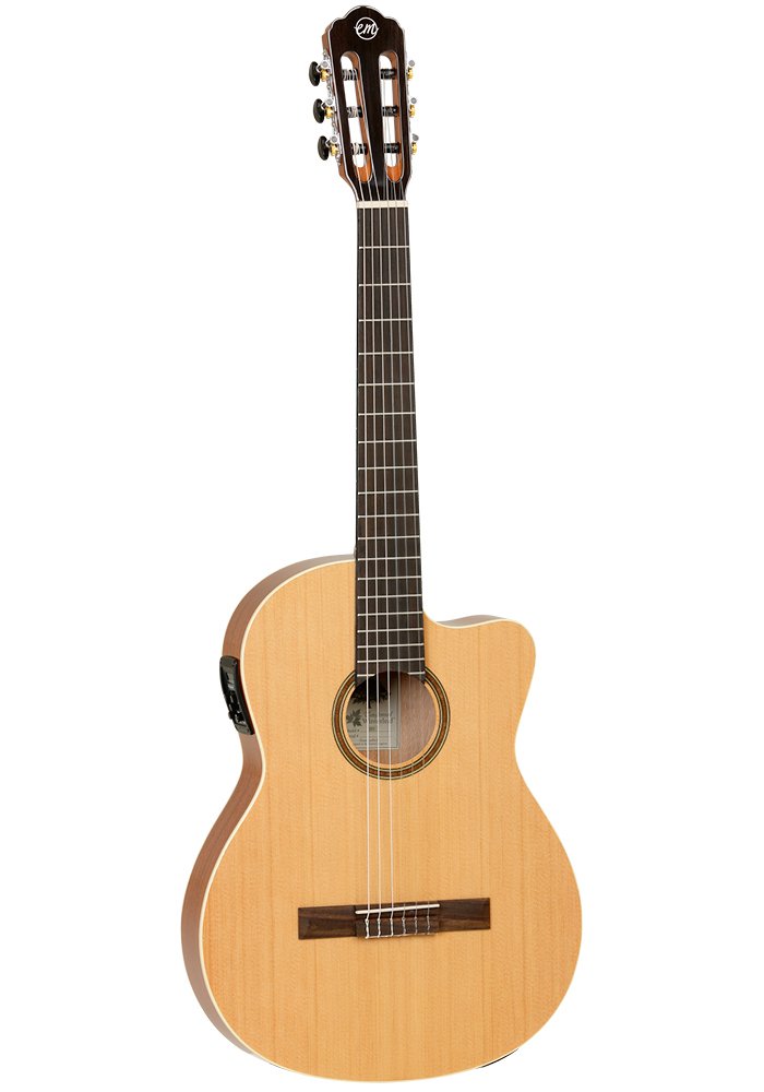 Tanglewood gitar deals